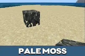 Minecraft 1.21.90.26 Game Download