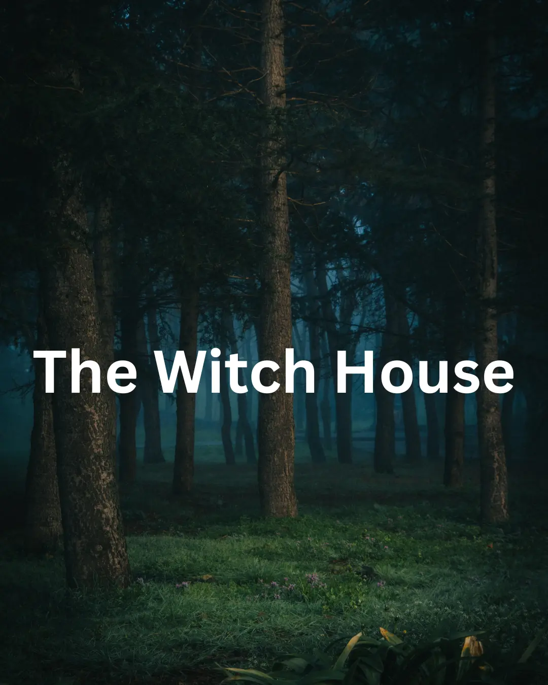 The Witch House APK v1.2.4 Download Game For Android