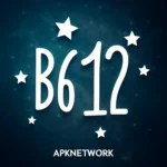 B612 APK Download