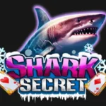 Shark Secret APK