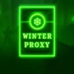 Winter Proxy APP